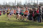3463 Michael Callegari leads eventual winner Jonathan Davies in the Under-17 Mens start, McCain Inter Counties Cross Country, Cofton Park, Birmingham.